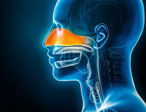 Understanding the Chronicles of Chronic Rhinitis